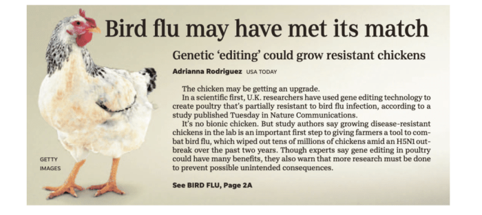 Gene edited salad greens fall pairwise bayer crispr gmo