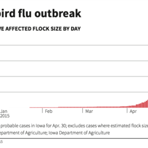 The first us bird flu death is a stark warning