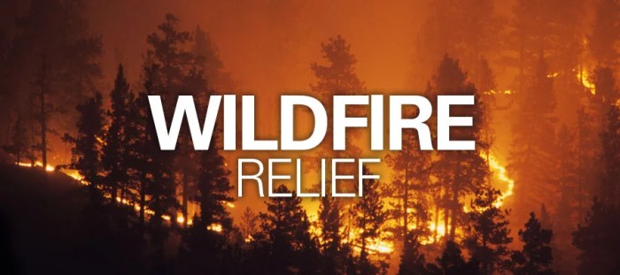 Game bundle los angeles wildfire efforts
