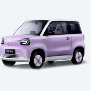 Zhidou rainbow ev costs just dollar4400